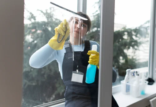 Nettoyage de vitres intérieures et extérieures à Mogues